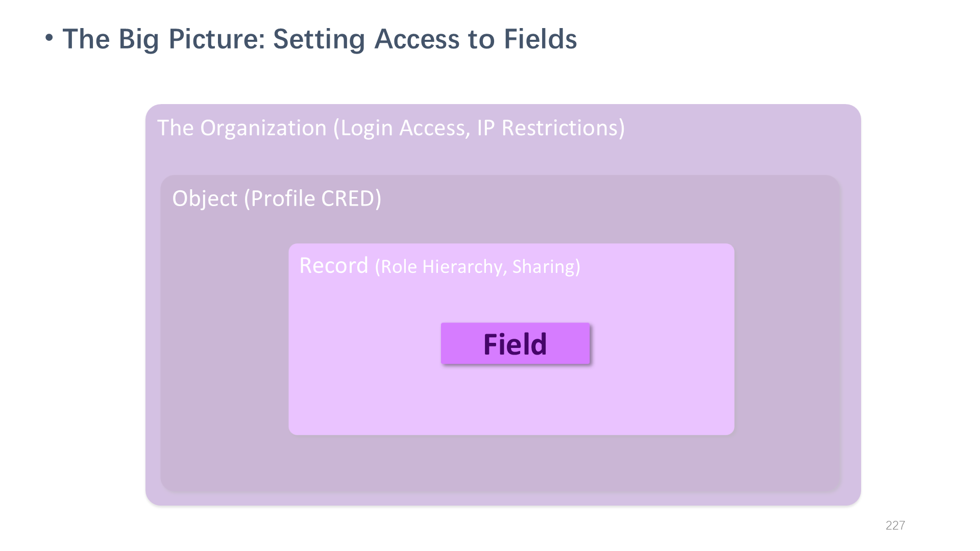 The Big Picture: Setting Access to Fields