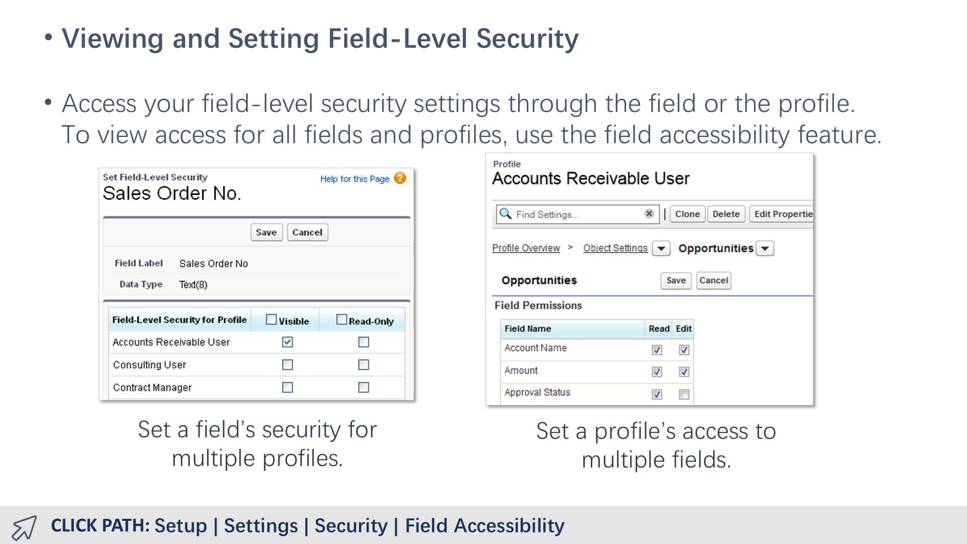 Viewing and Setting Field-Level Security