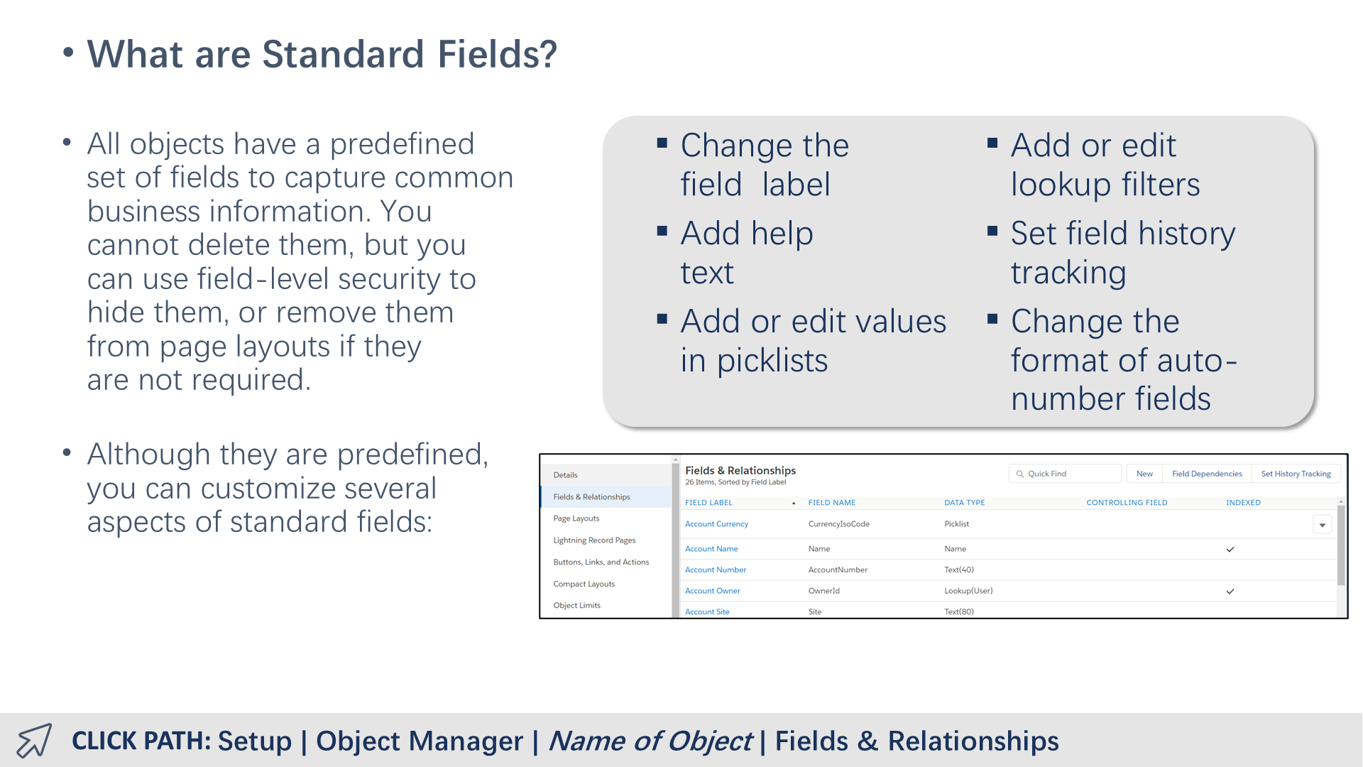 What are Standard Fields?
