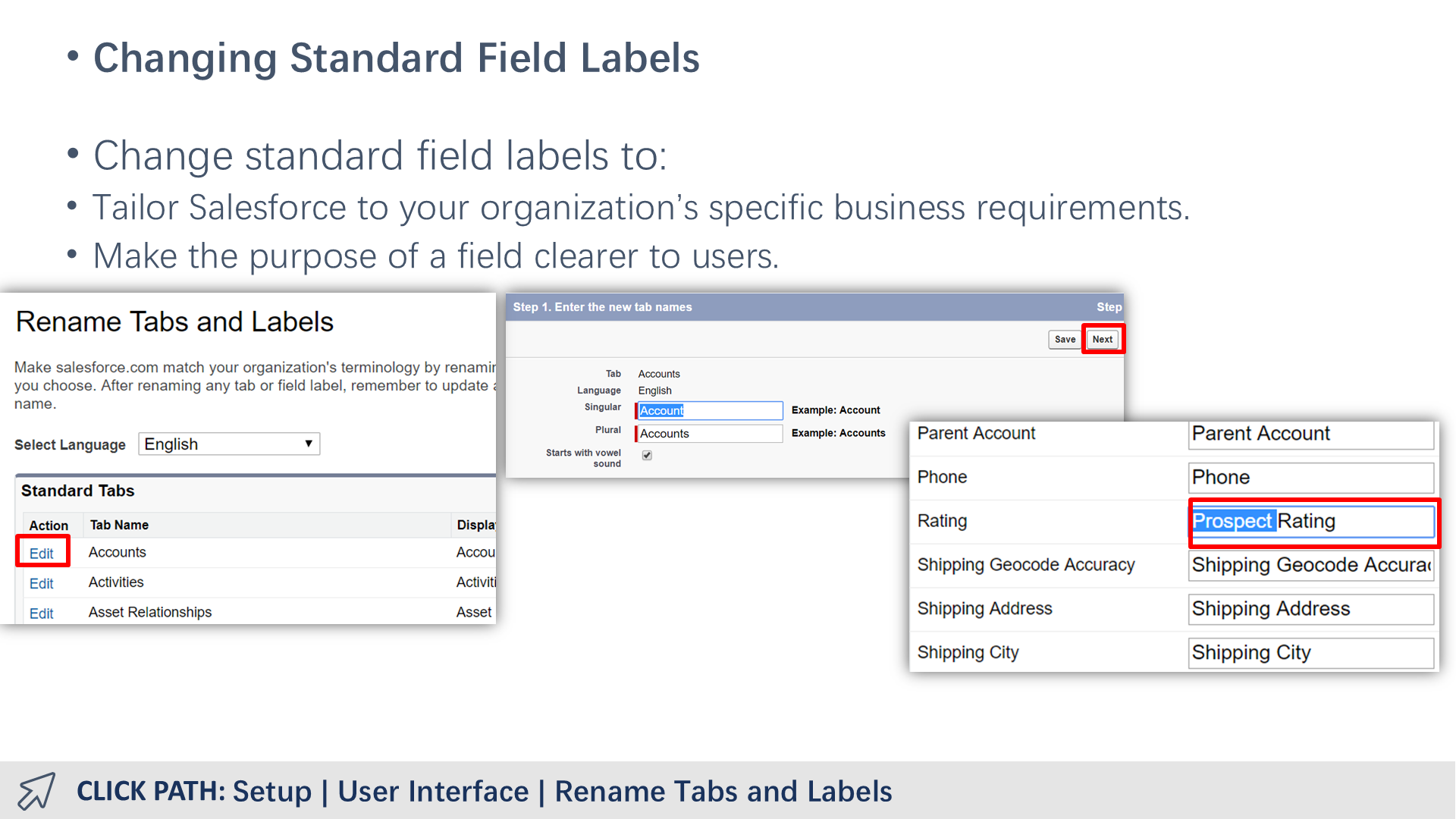 Changing Standard Field Labels