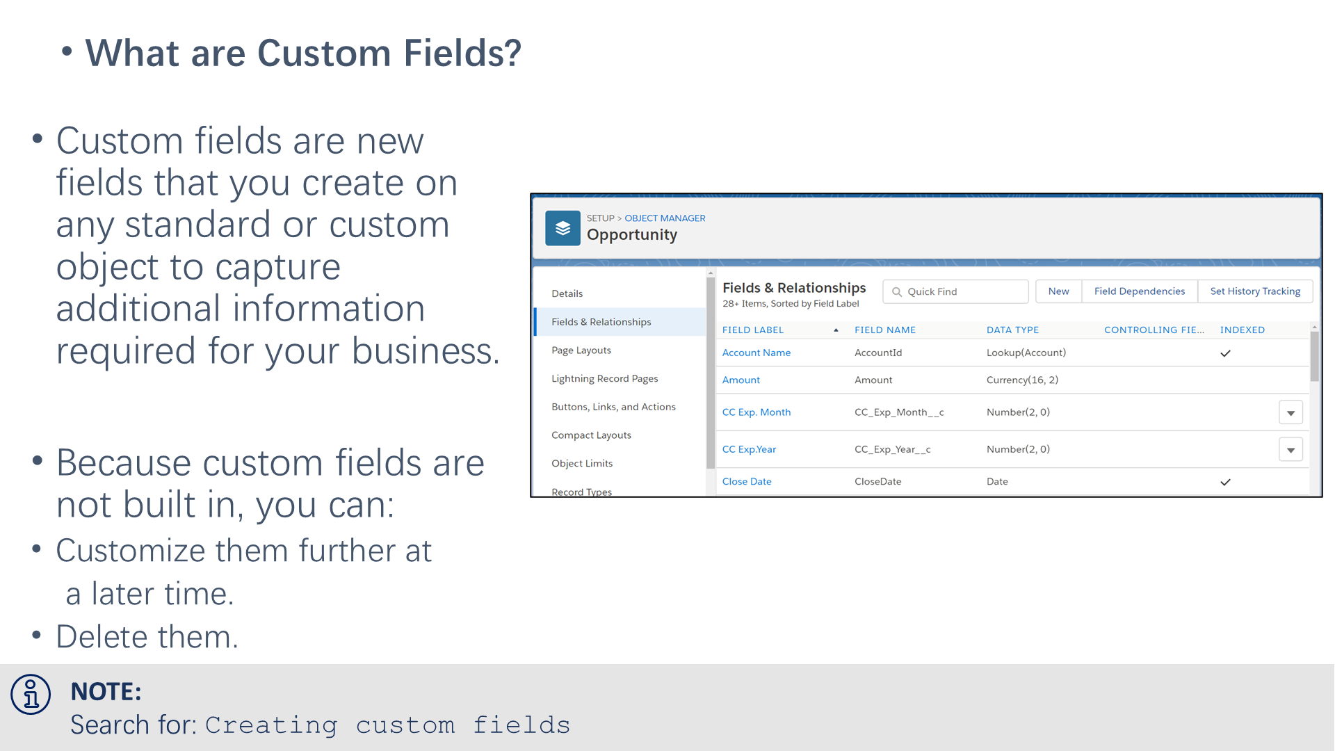 What are Custom Fields?