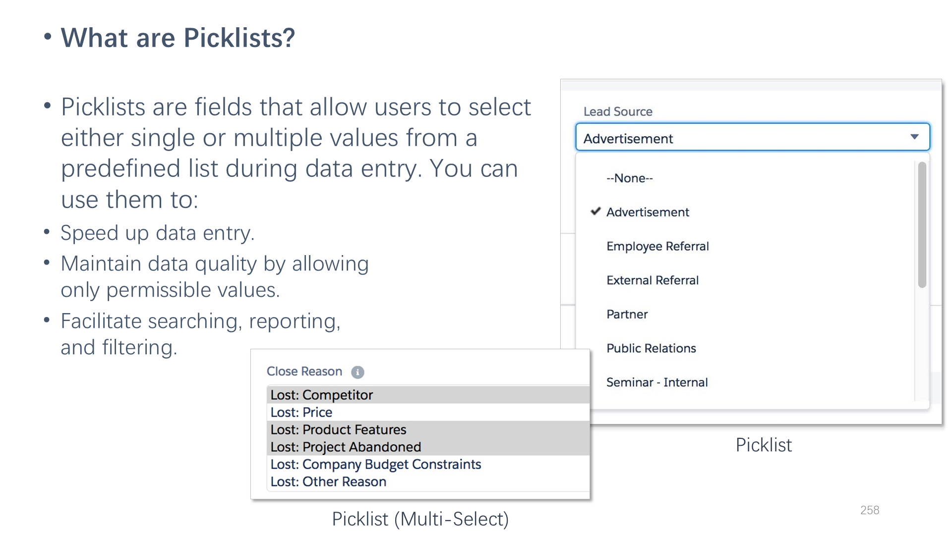 What are Picklists?