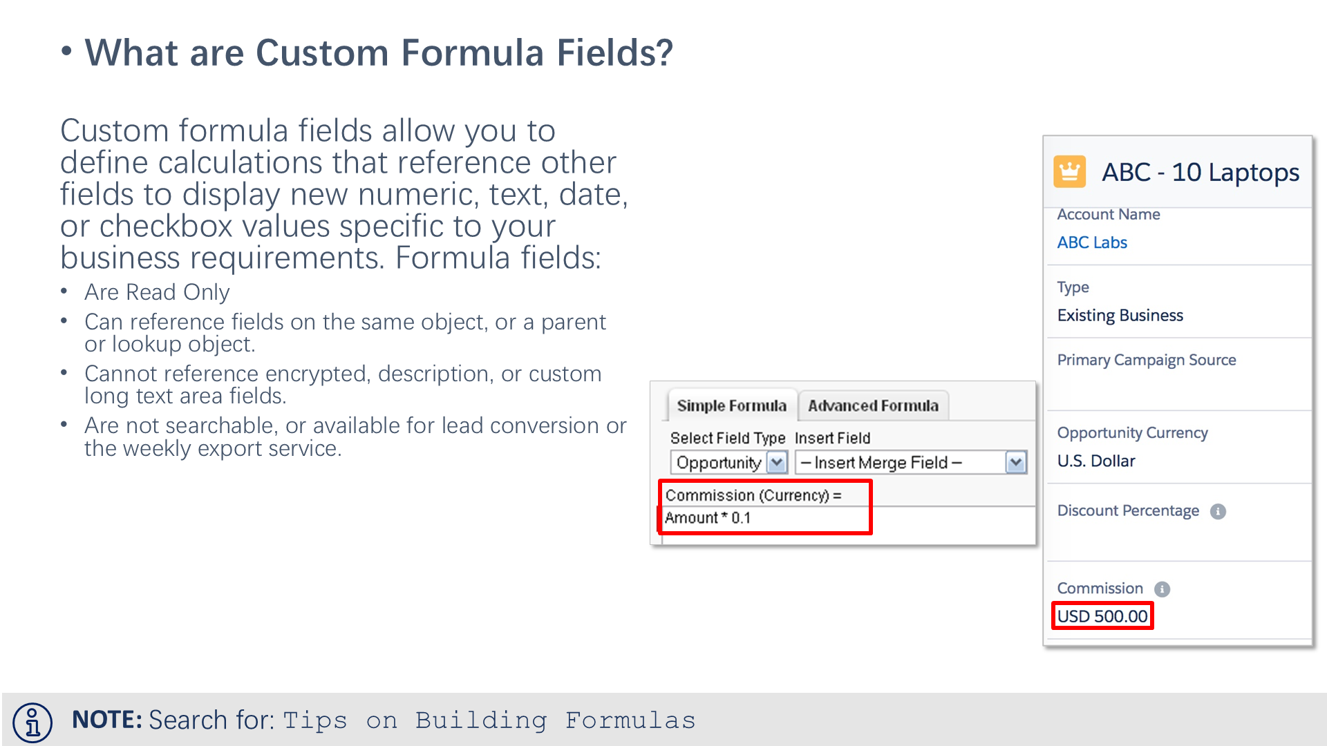 What are Custom Formula Fields?