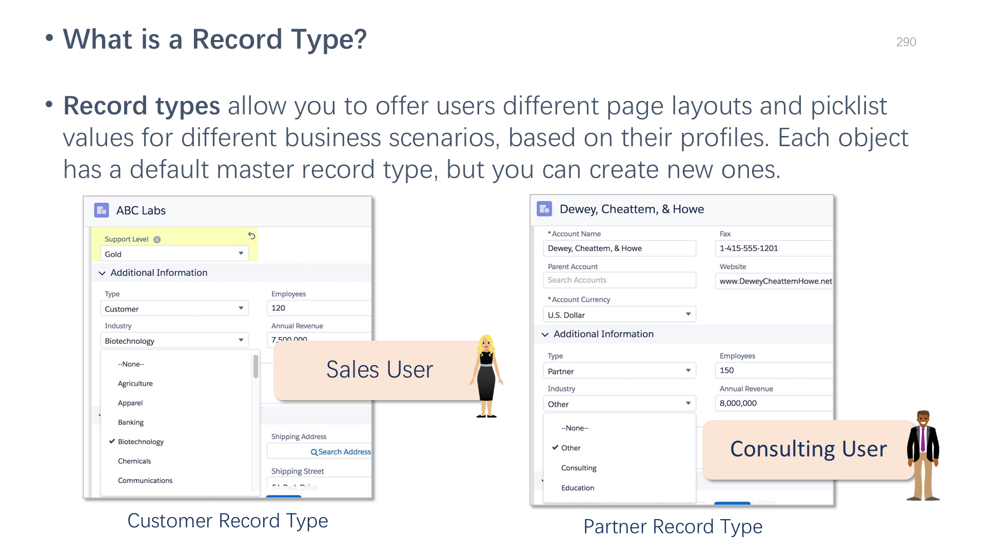 What is a Record Type?