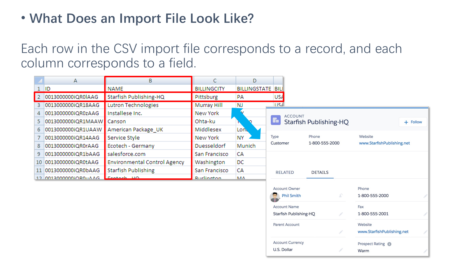 What Does an Import File Look Like?