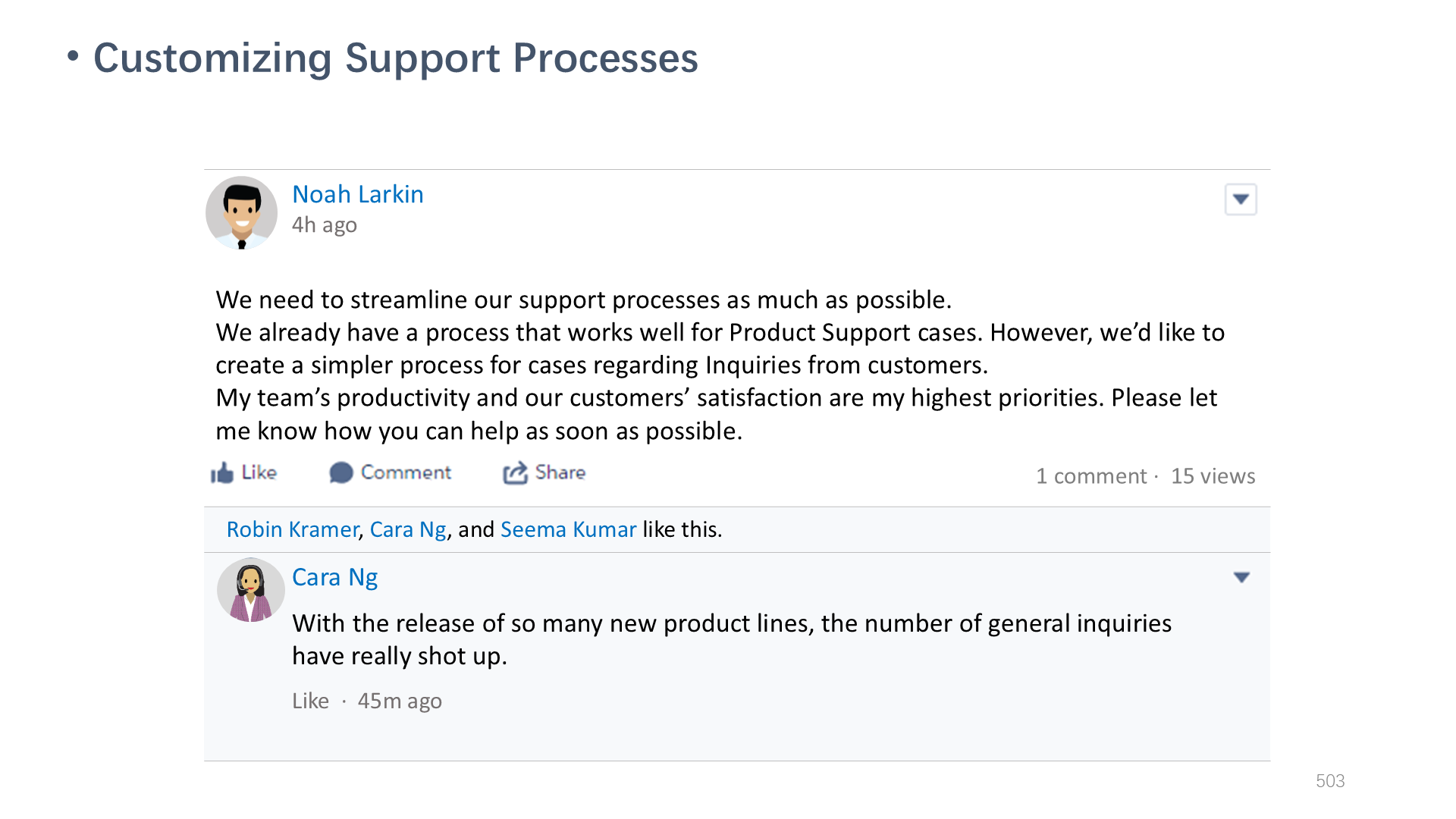 Customizing Support Processes