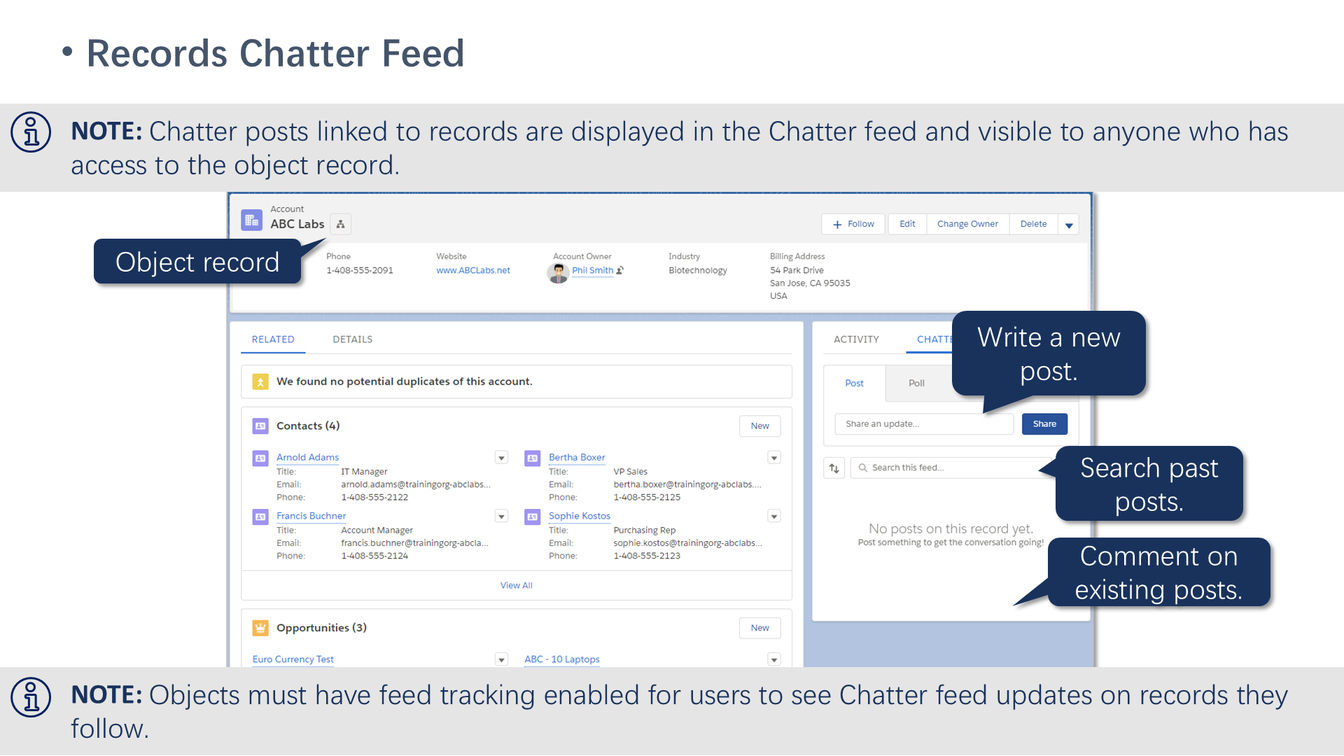 Records Chatter Feed