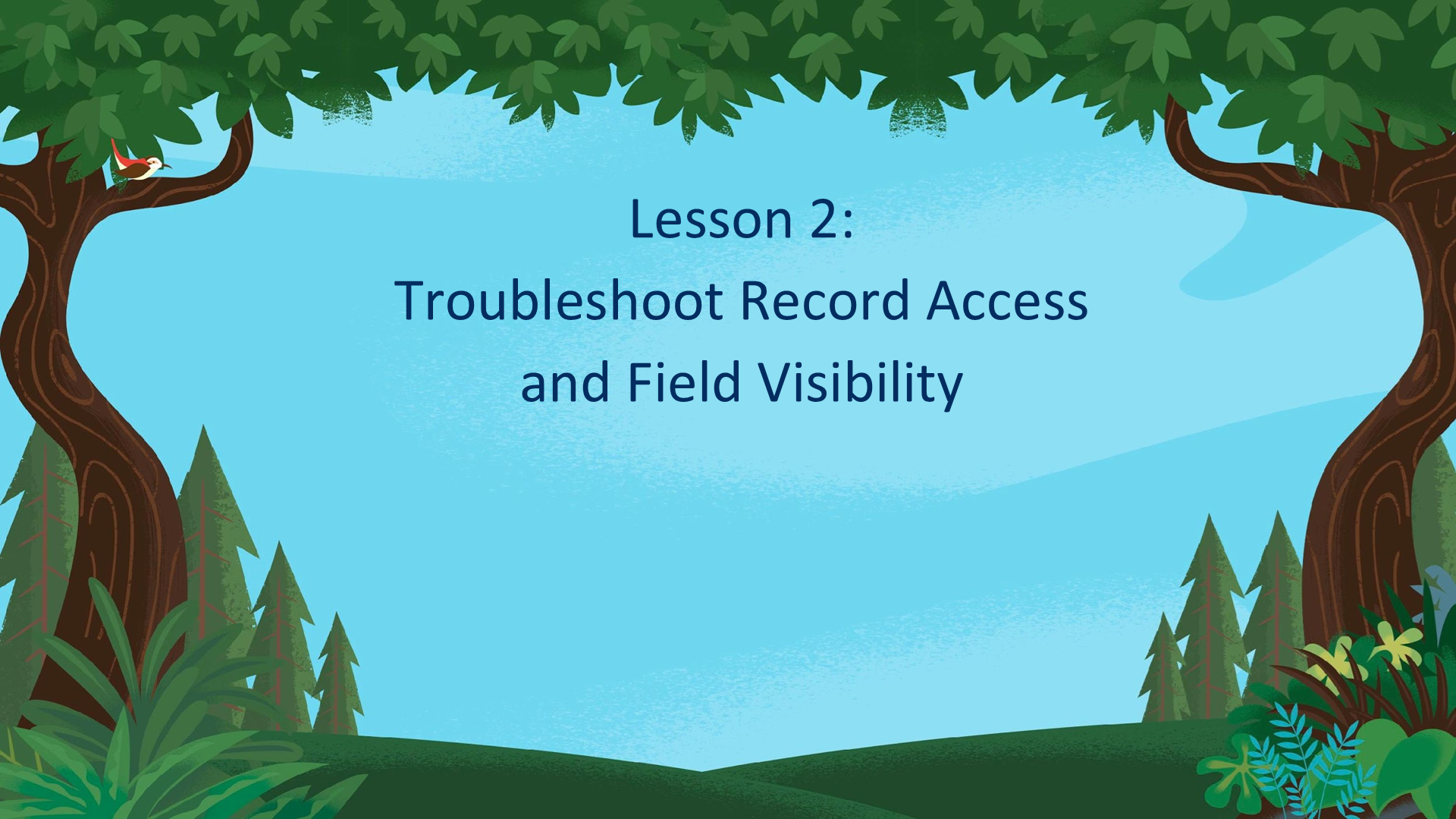 Lesson 2:  Troubleshoot Record Access  and Field Visibility