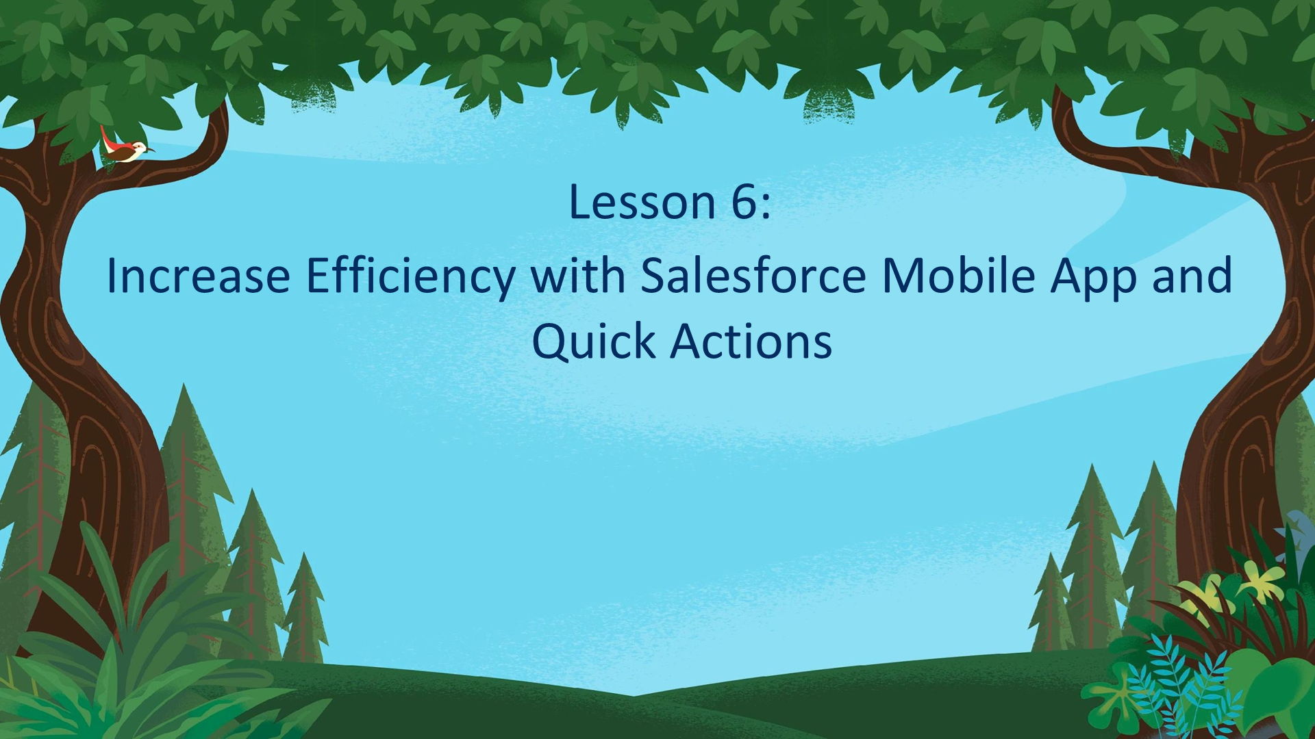 Lesson 6: Increase Efficiency with Salesforce Mobile App and Quick Actions