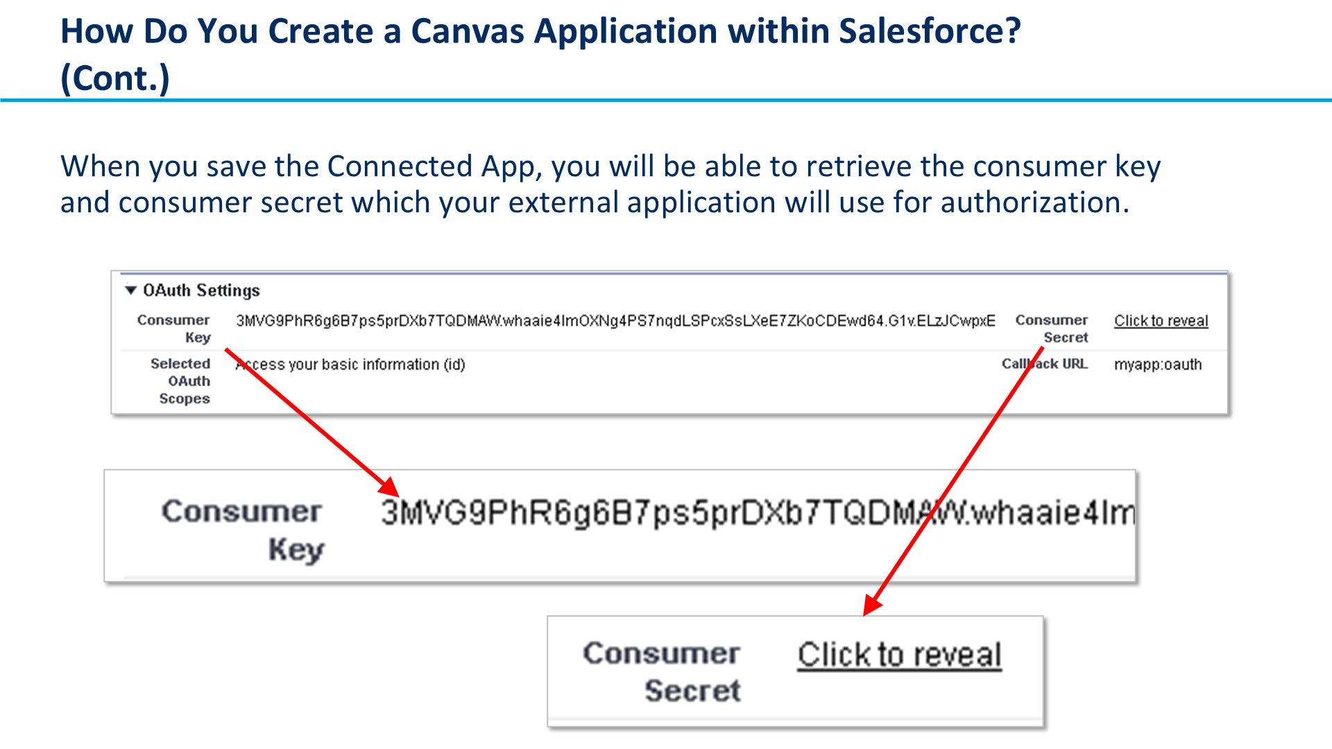 How Do You Create a Canvas Application within Salesforce? (Cont.)