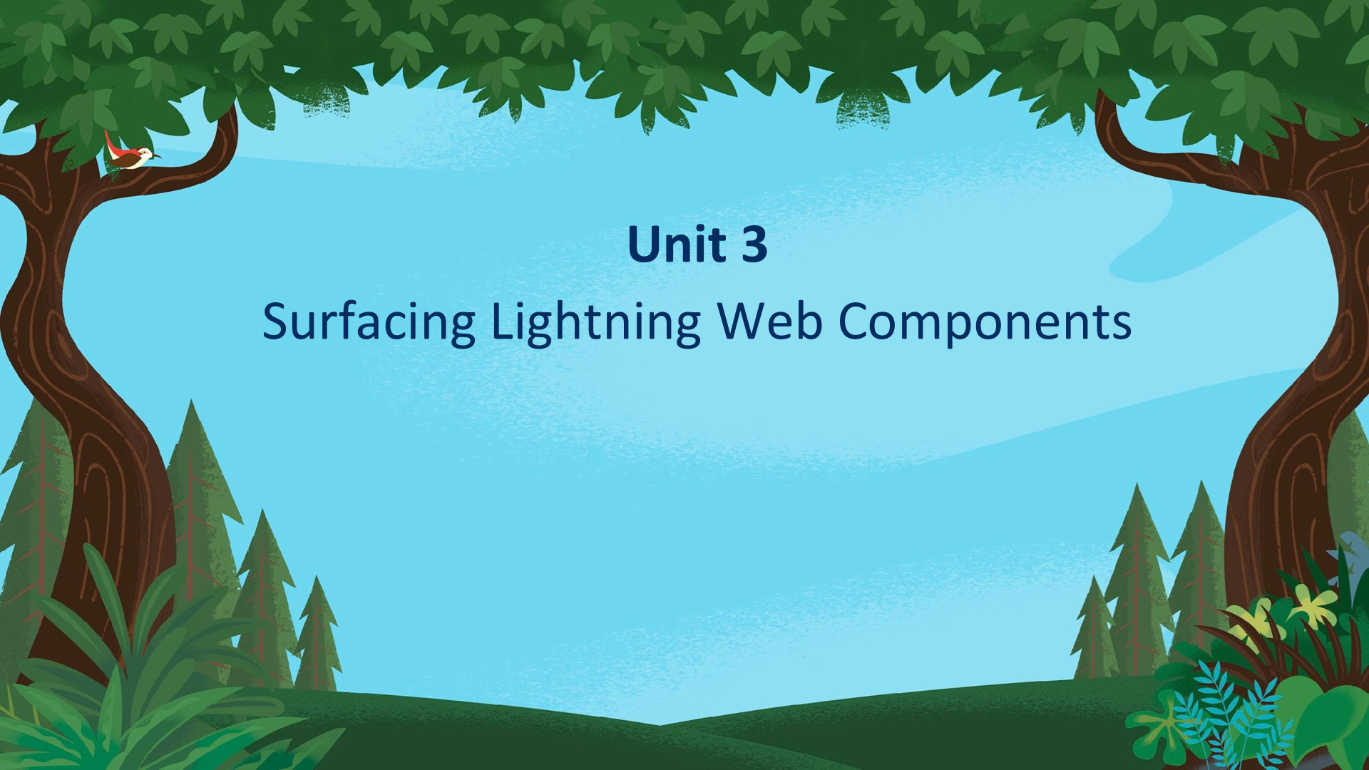 Unit 3 Surfacing Lightning Web Components