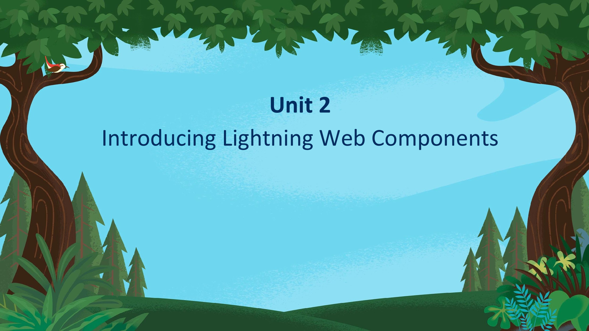 Unit 2 Introducing Lightning Web Components