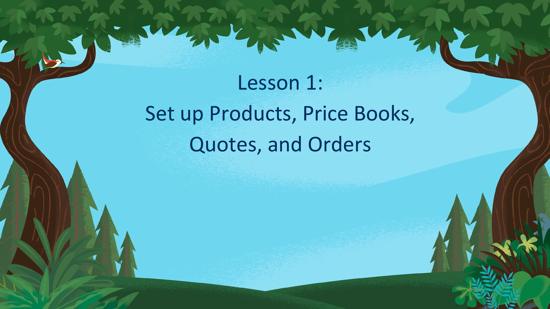 Lesson 1:  Set up Products, Price Books,  Quotes, and Orders