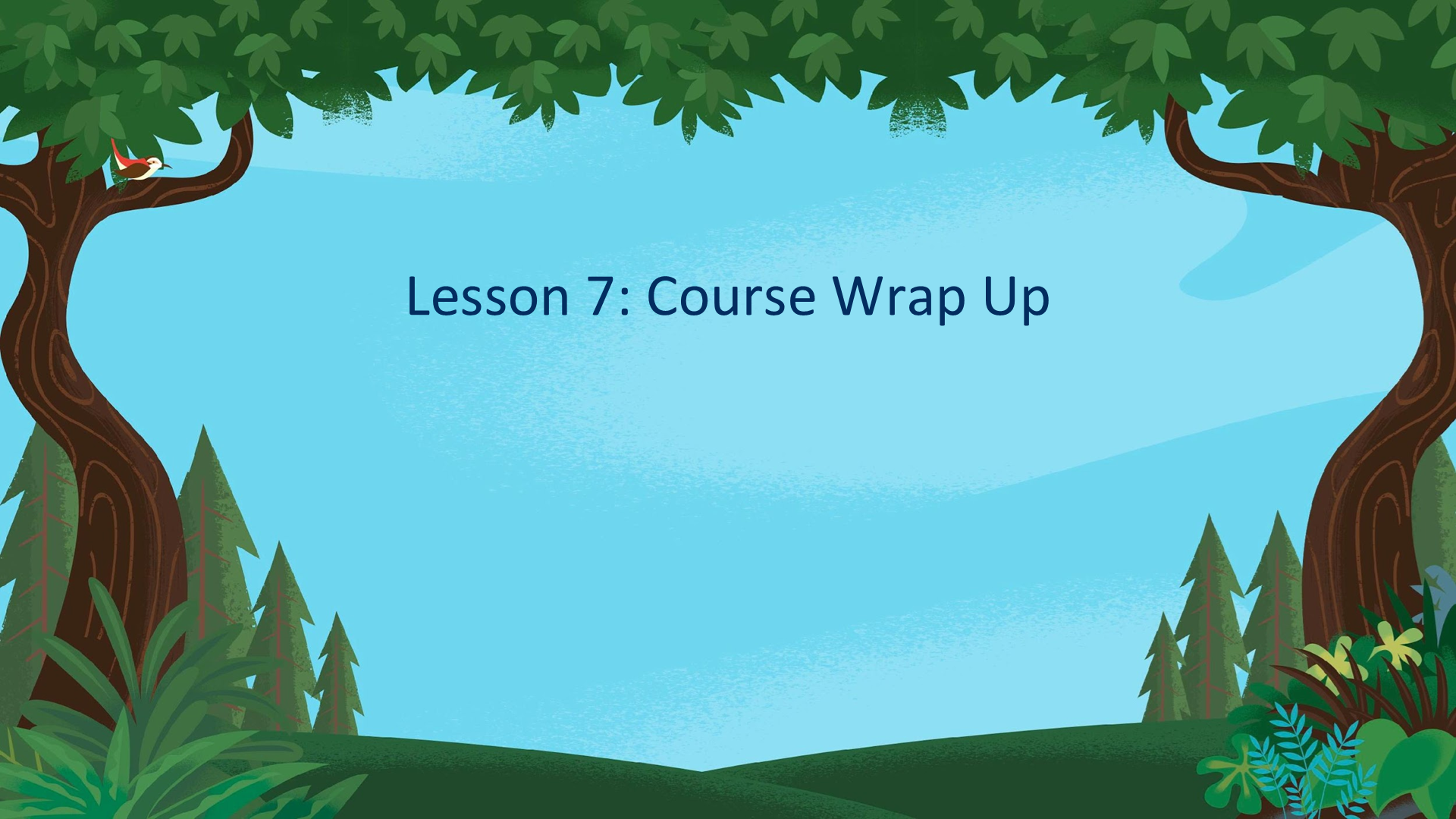 Lesson 7: Course Wrap Up