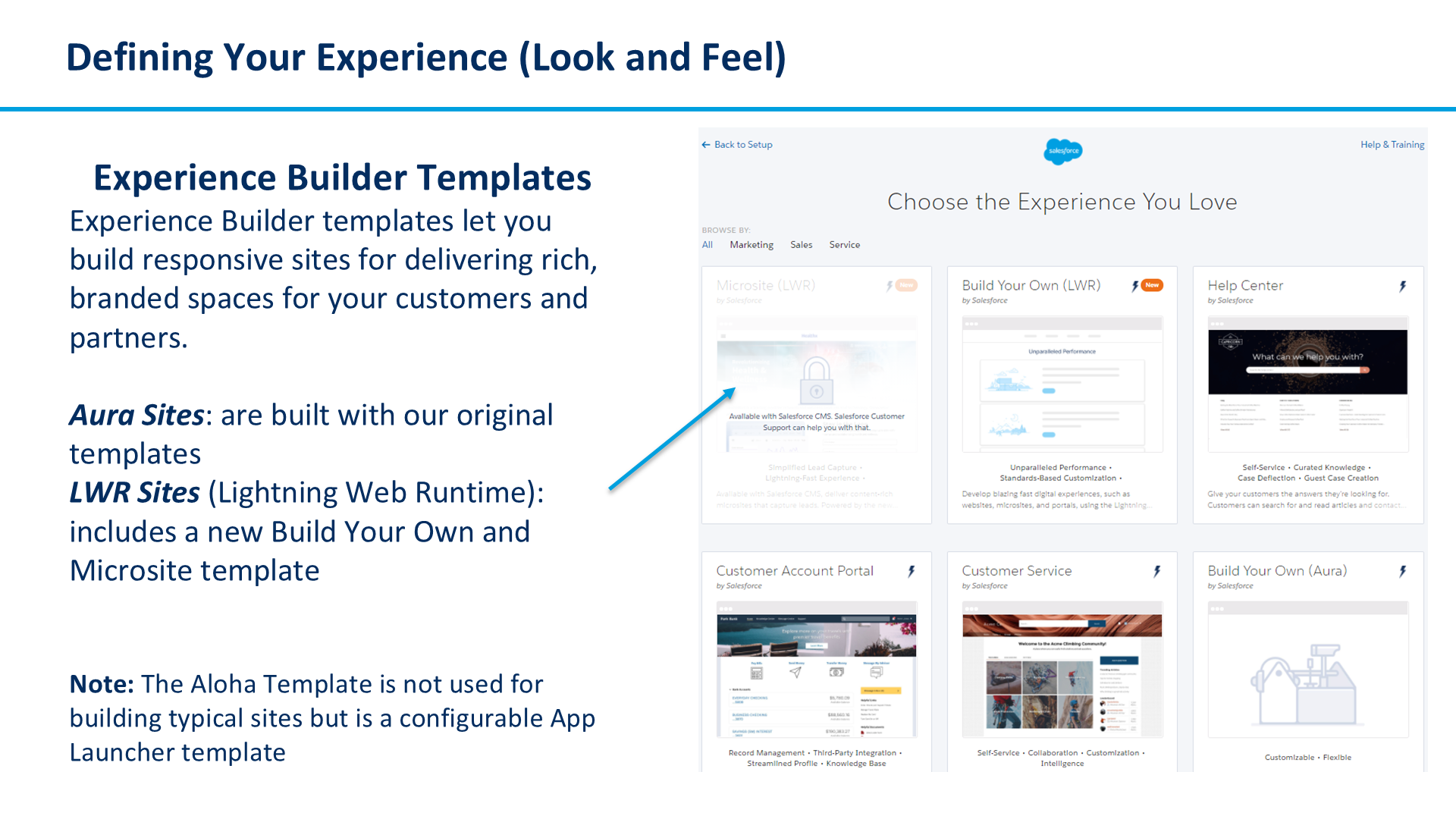 Defining Your Experience (Look and Feel)