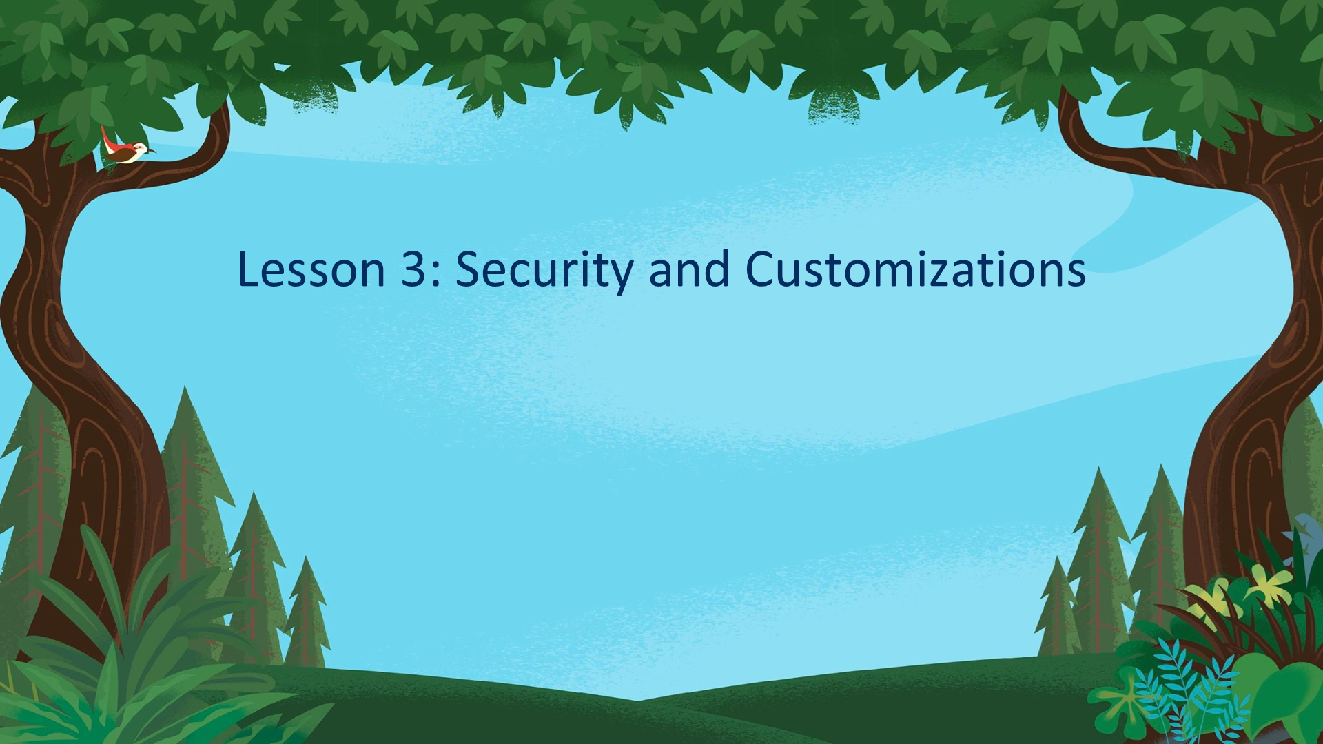 Lesson 3: Security and Customizations