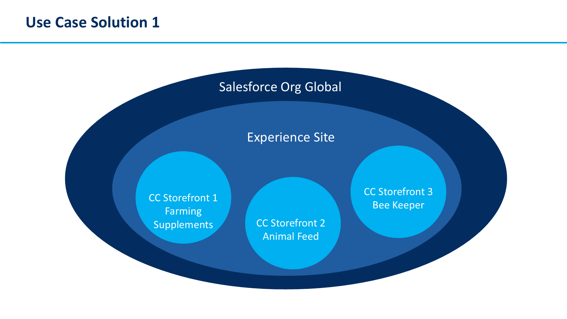 Use Case Solution 1