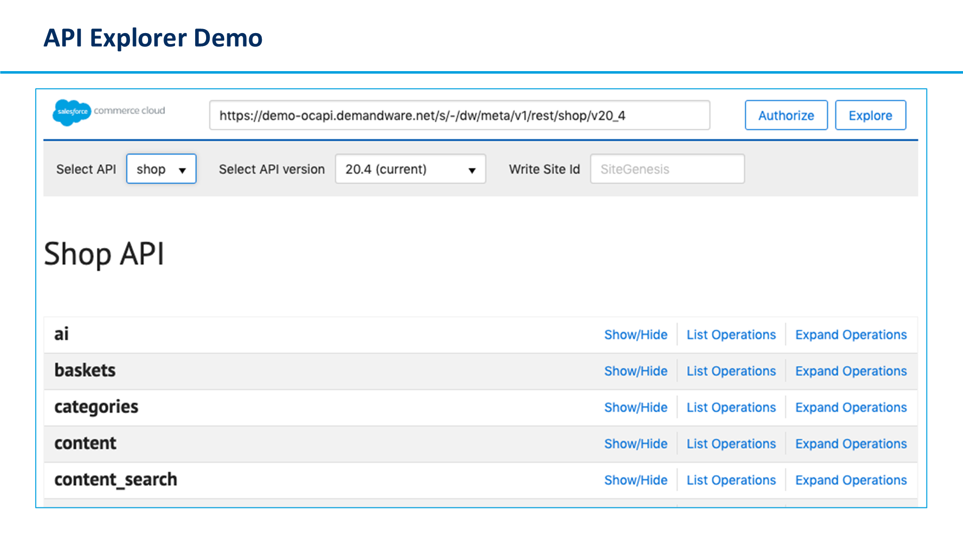 API Explorer Demo