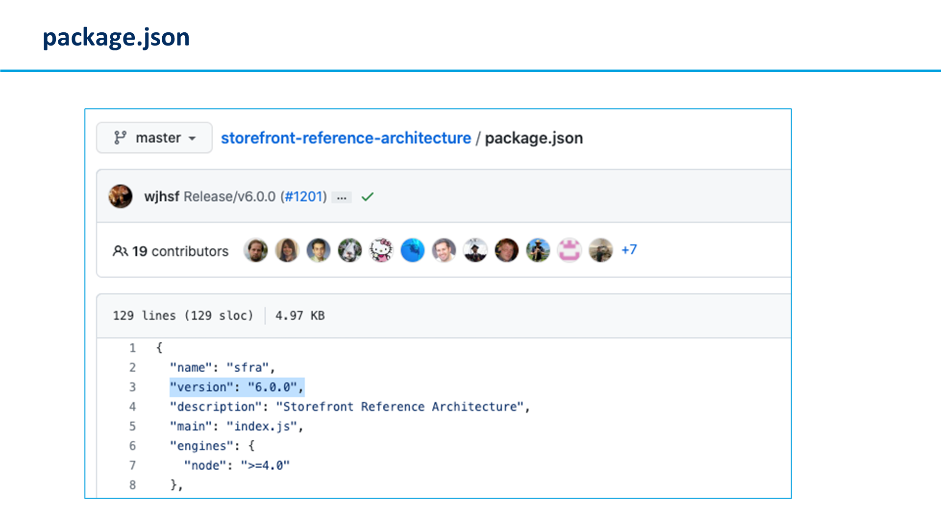package.json
