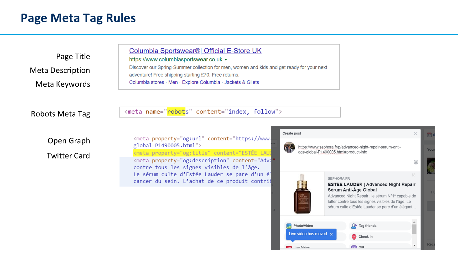 Page Meta Tag Rules