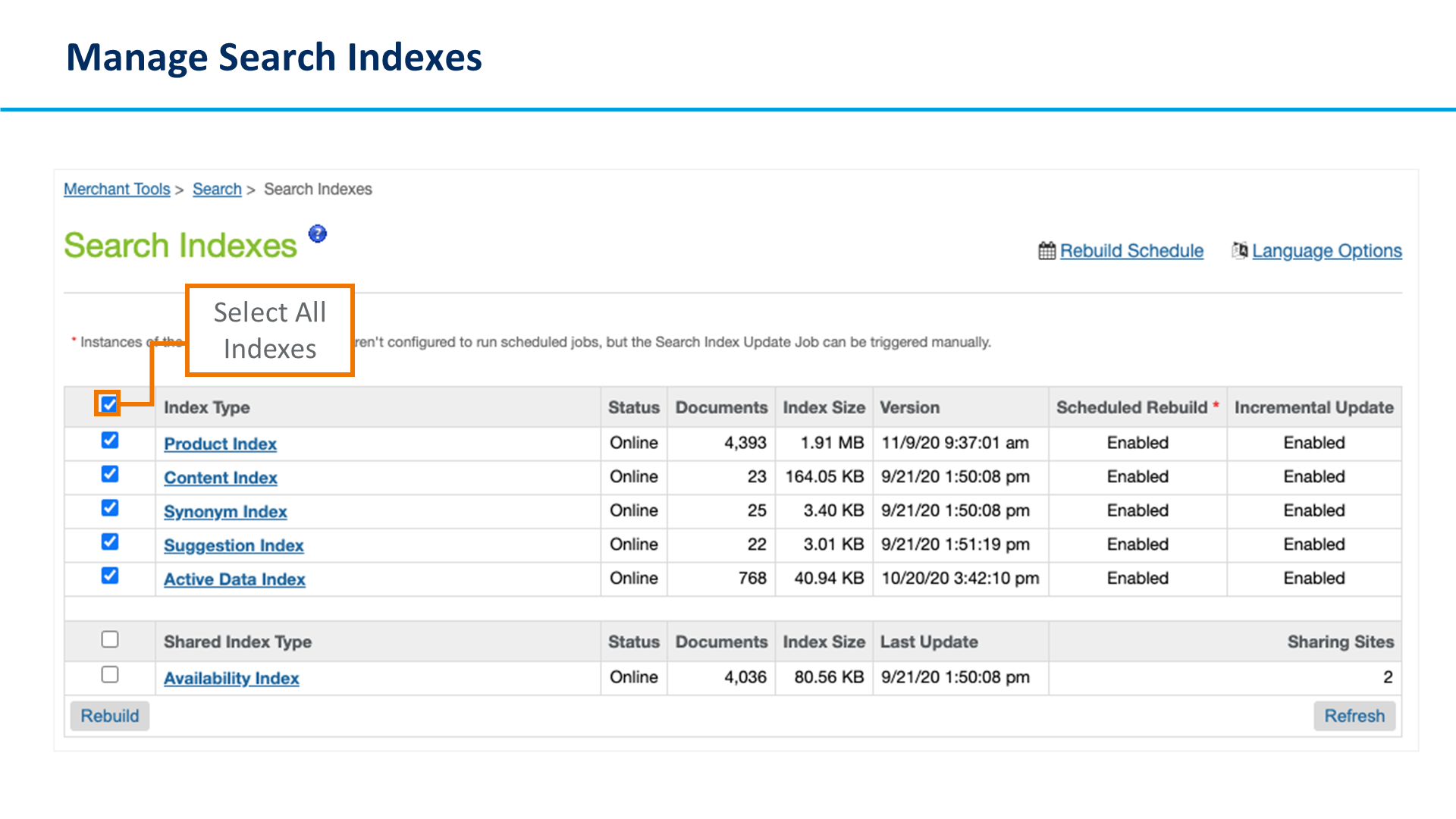 Manage Search Indexes