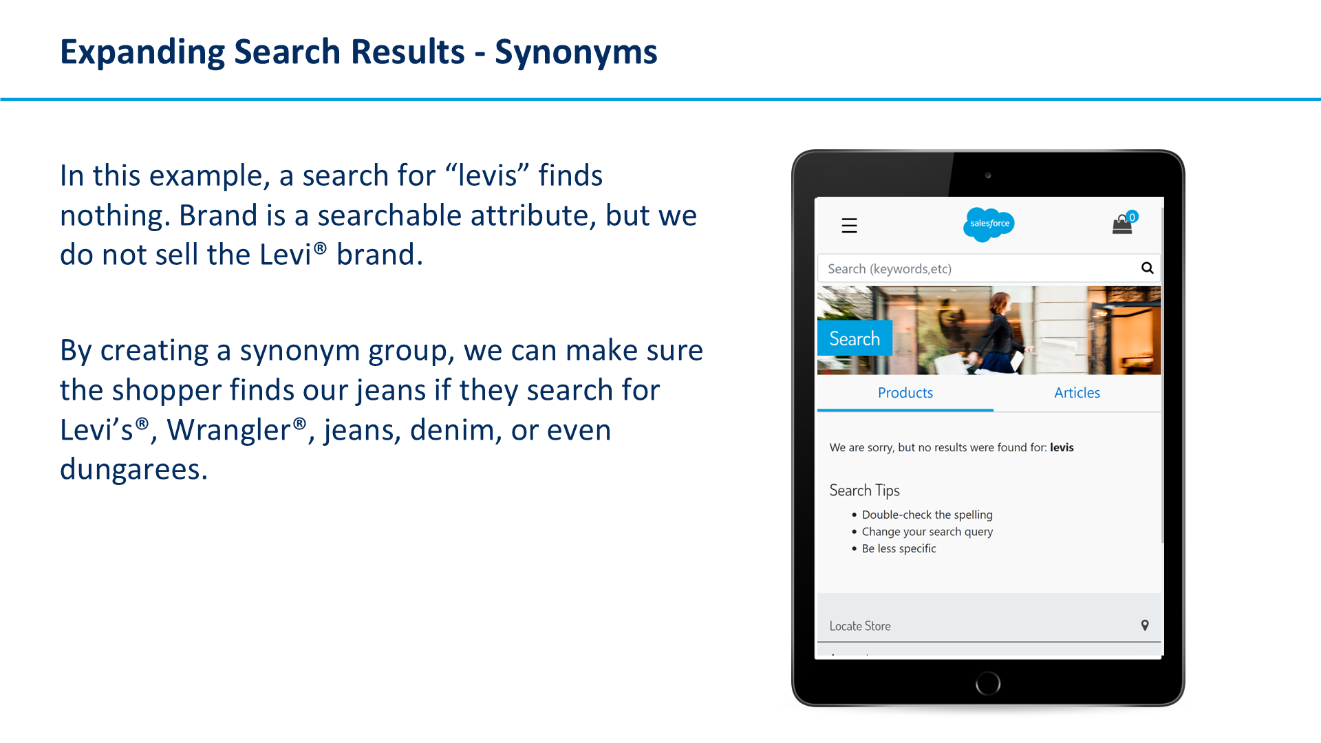 Expanding Search Results - Synonyms
