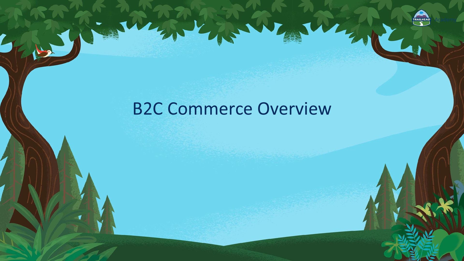 B2C Commerce Overview