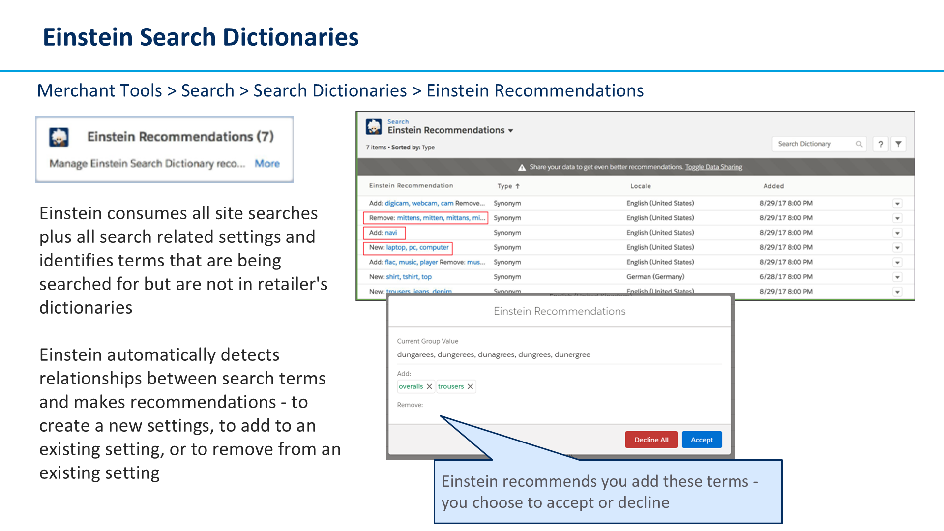 Einstein Search Dictionaries