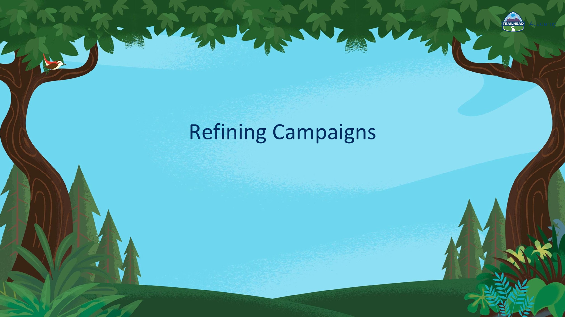 Refining Campaigns