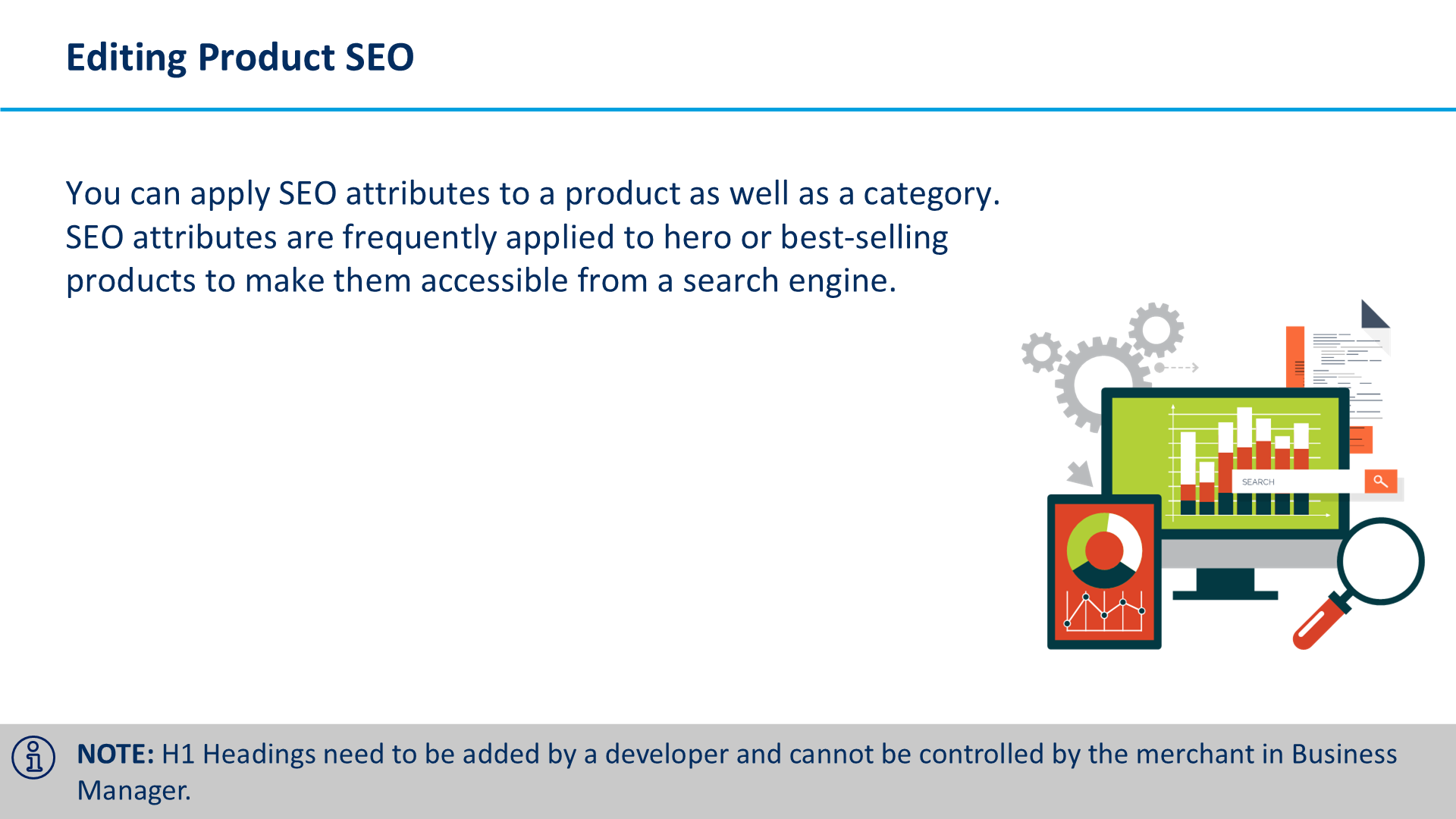 Editing Product SEO
