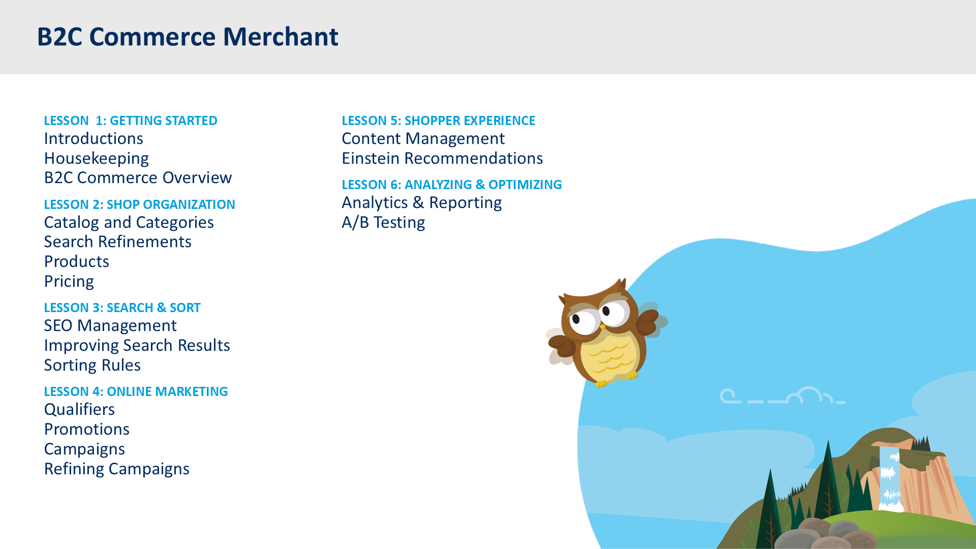 B2C Commerce Merchant
