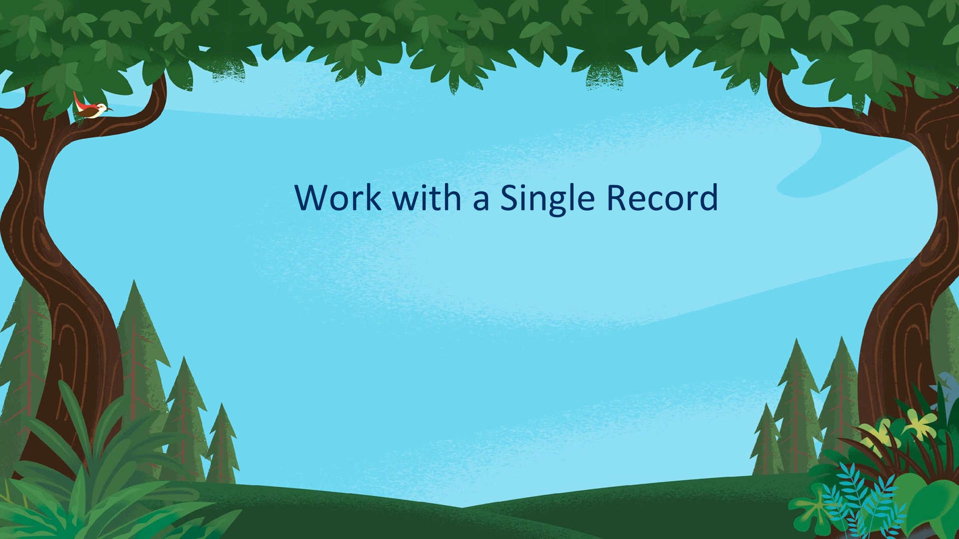 Unit 2:Work with a Single Record