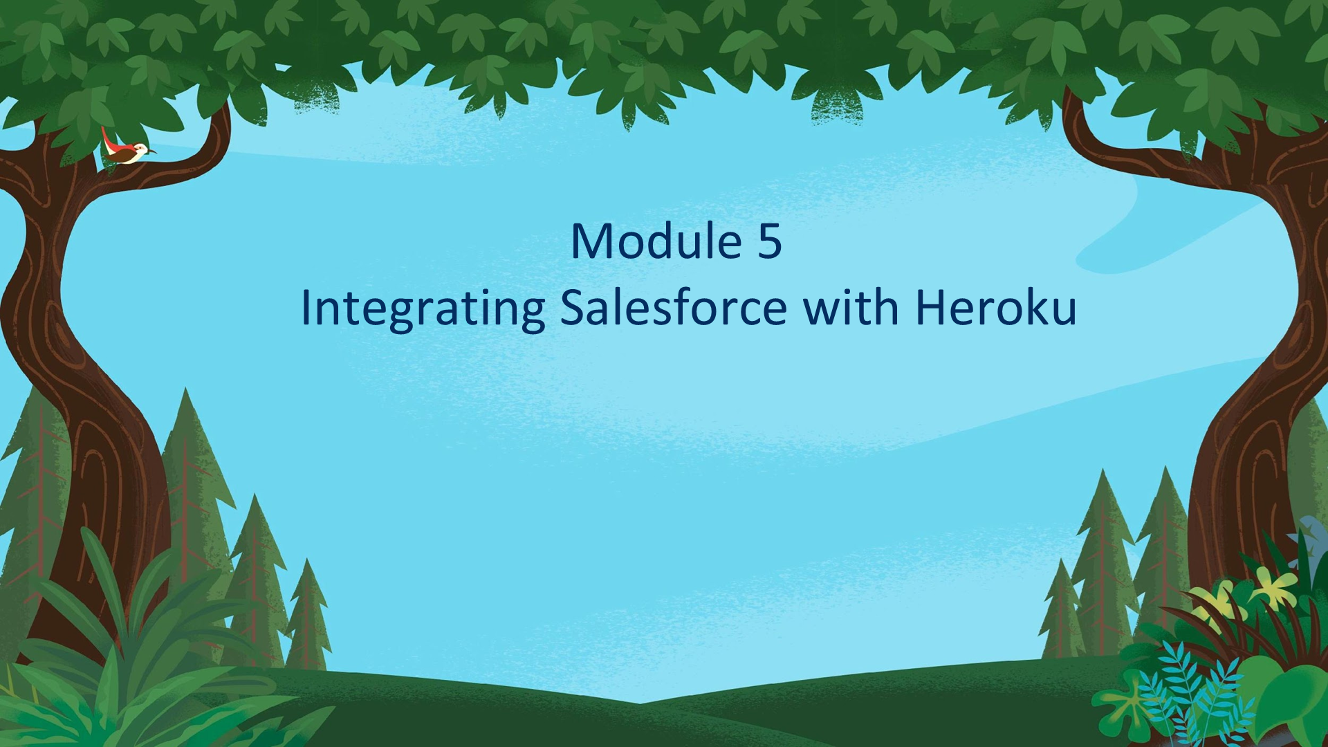 Module 5 Integrating Salesforce with Heroku