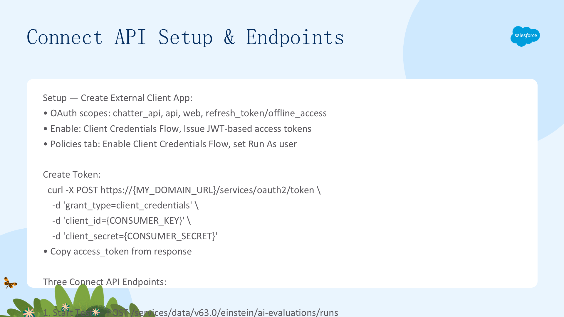 Connect API 设置和端点