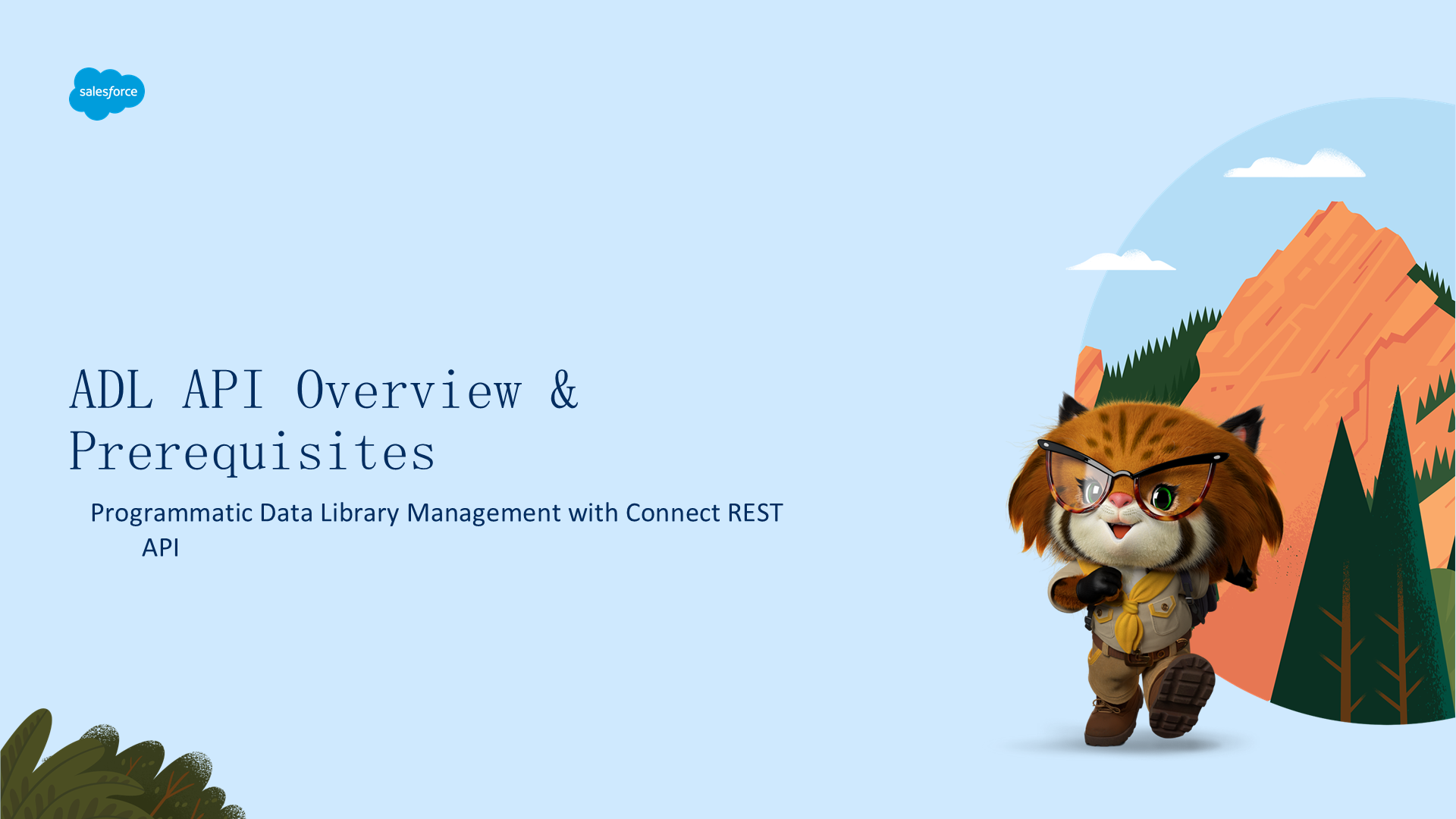 管理 Data Libraries
