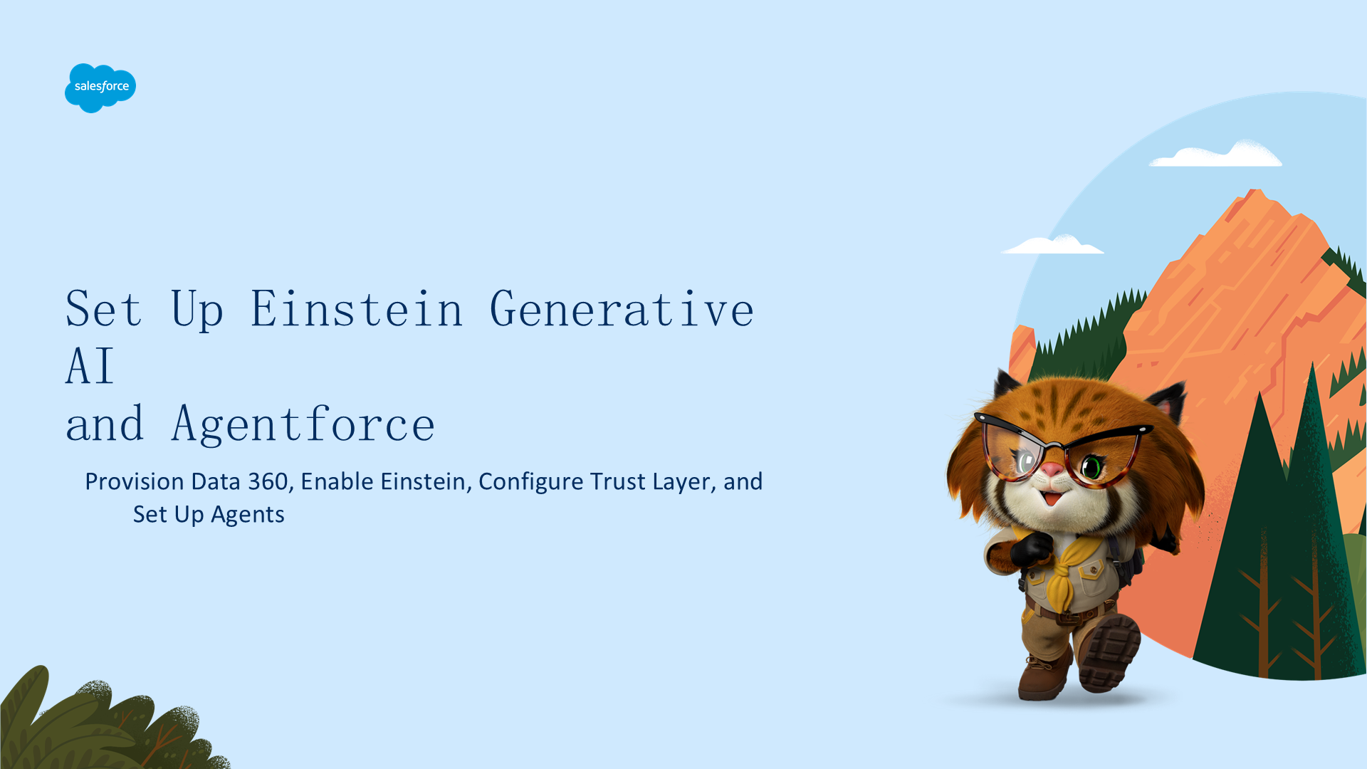 设置 Einstein 生成式 AI 和 Agentforce