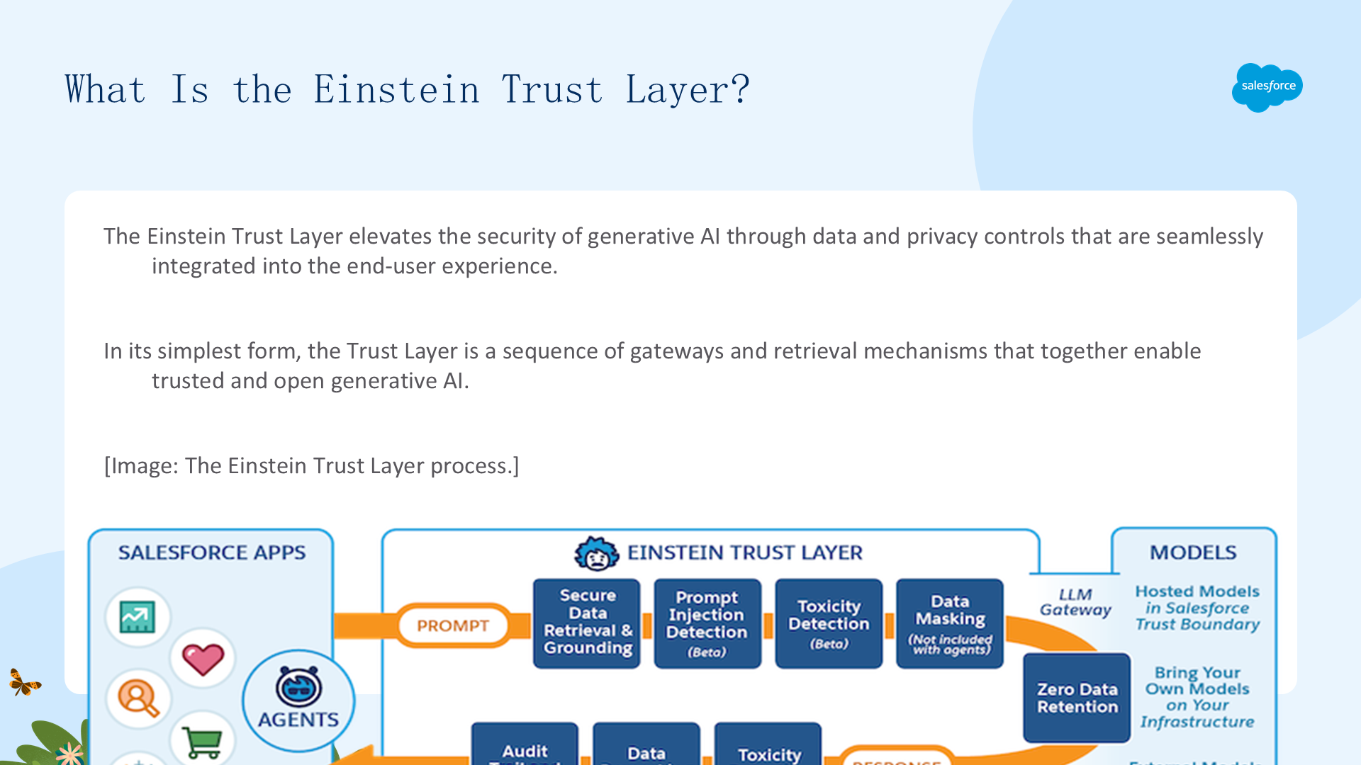 Slide 7