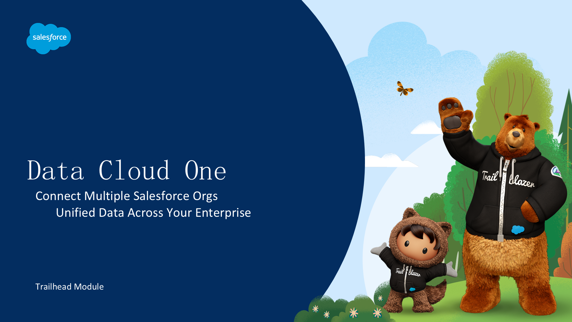 Data Cloud One 完全指南 — 连接多个 Salesforce Org 实现统一客户数据