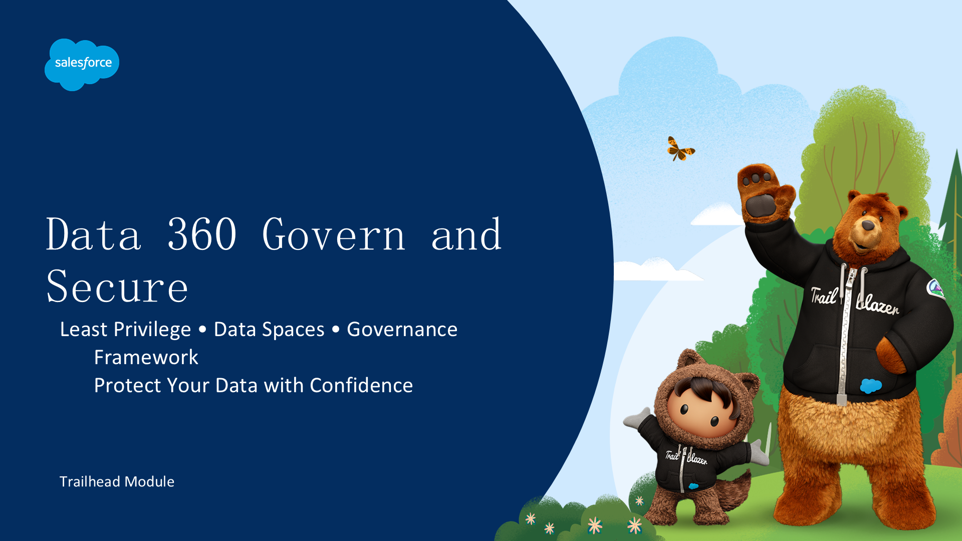 Data 360 治理与安全 — 最小权限、数据空间与治理框架安全指南