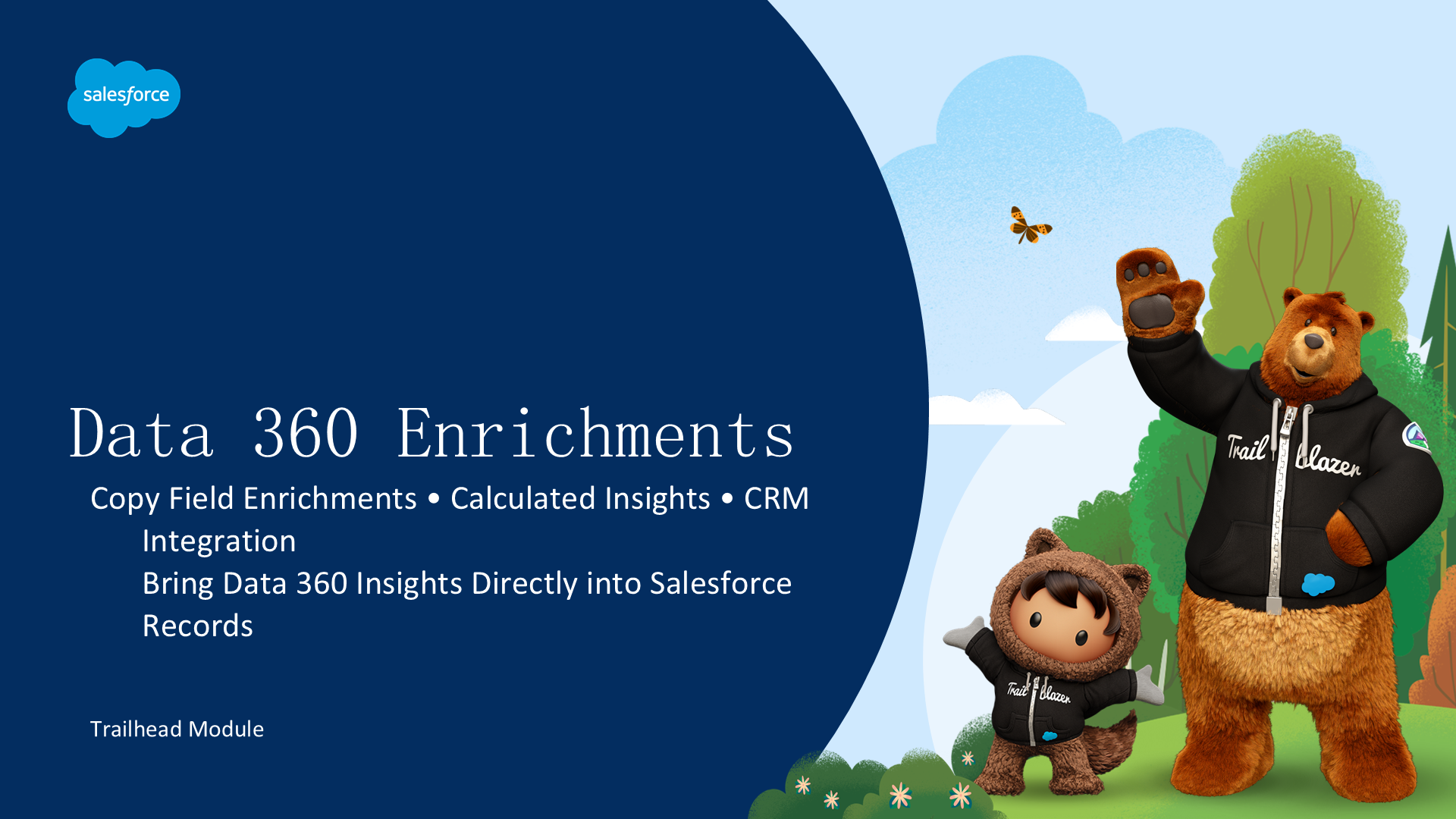 Data 360 Enrichments — 将计算洞察直接带入 CRM 记录