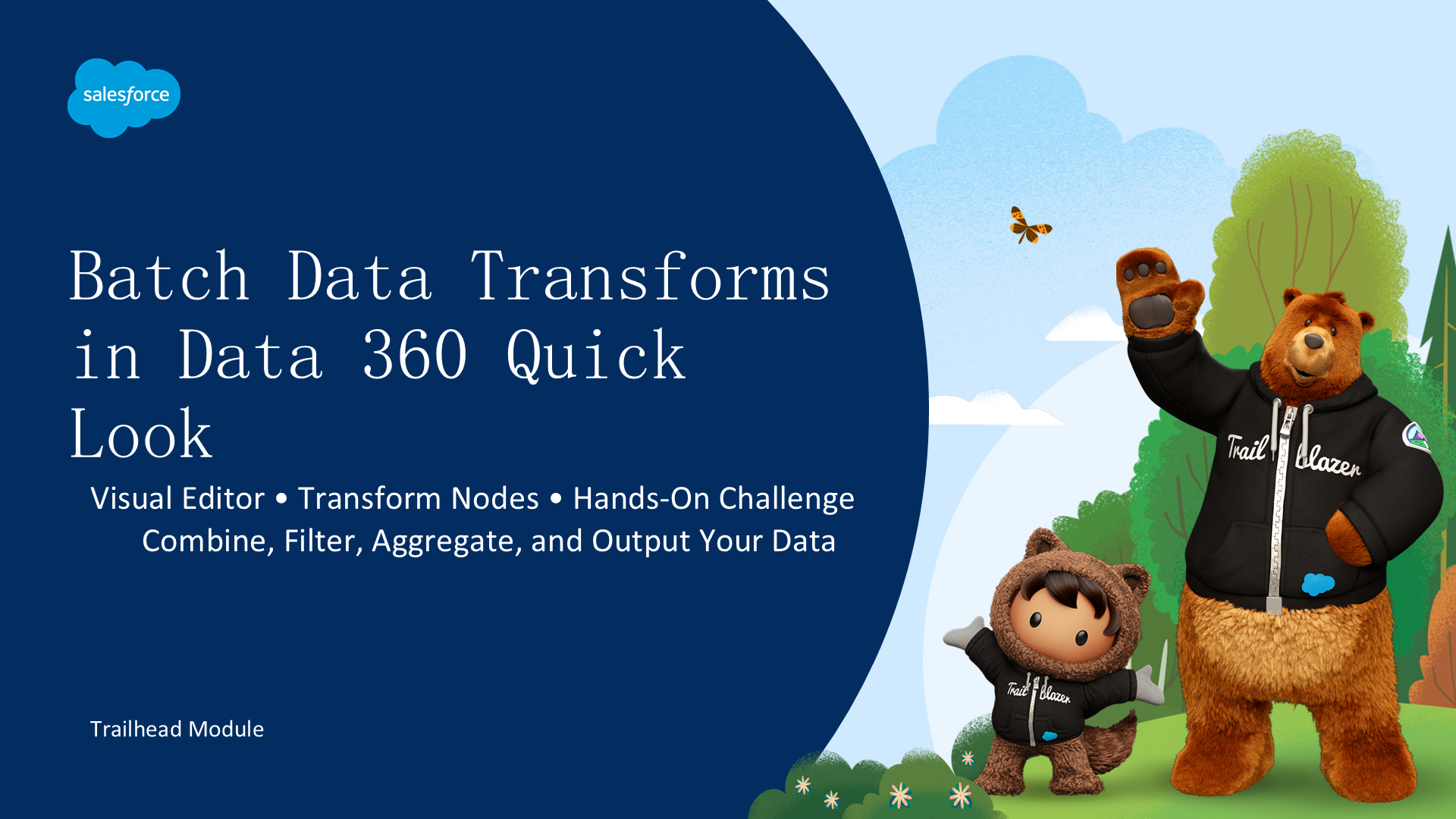 Batch Data Transforms in Data 360 Quick Look | Data 360 批量数据转换速览