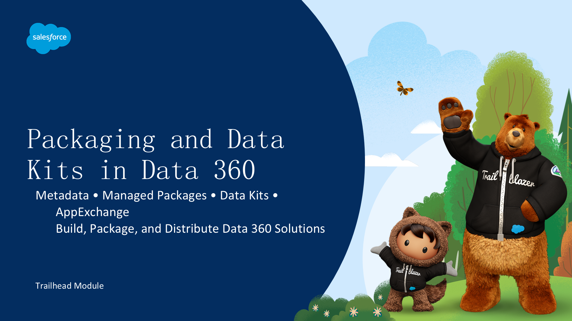 Packaging and Data Kits in Data 360 — 打包、分发并复用 Data 360 解决方案