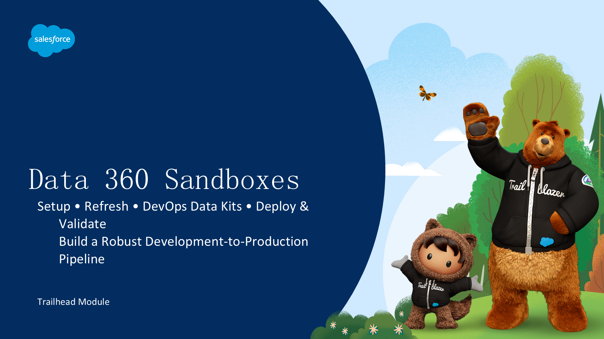 Data 360 Sandboxes — 构建从开发到生产的稳健管道
