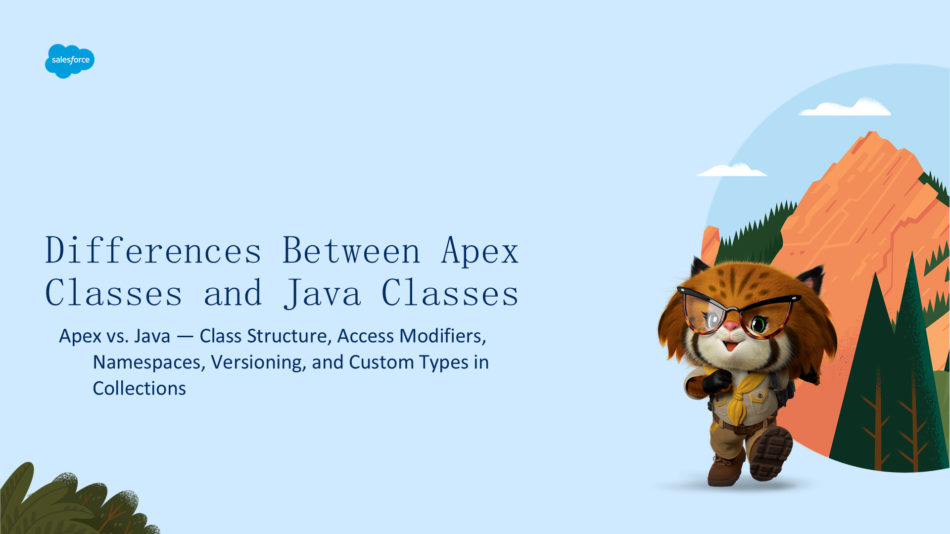 Apex 与 Java 的区别