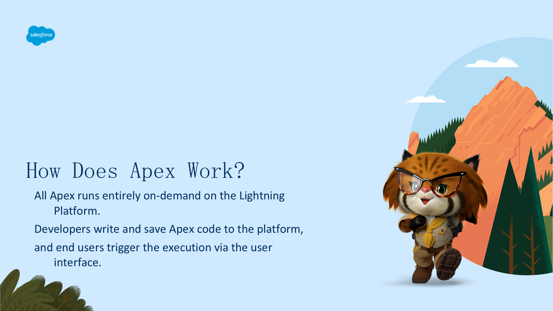 Apex 执行模型