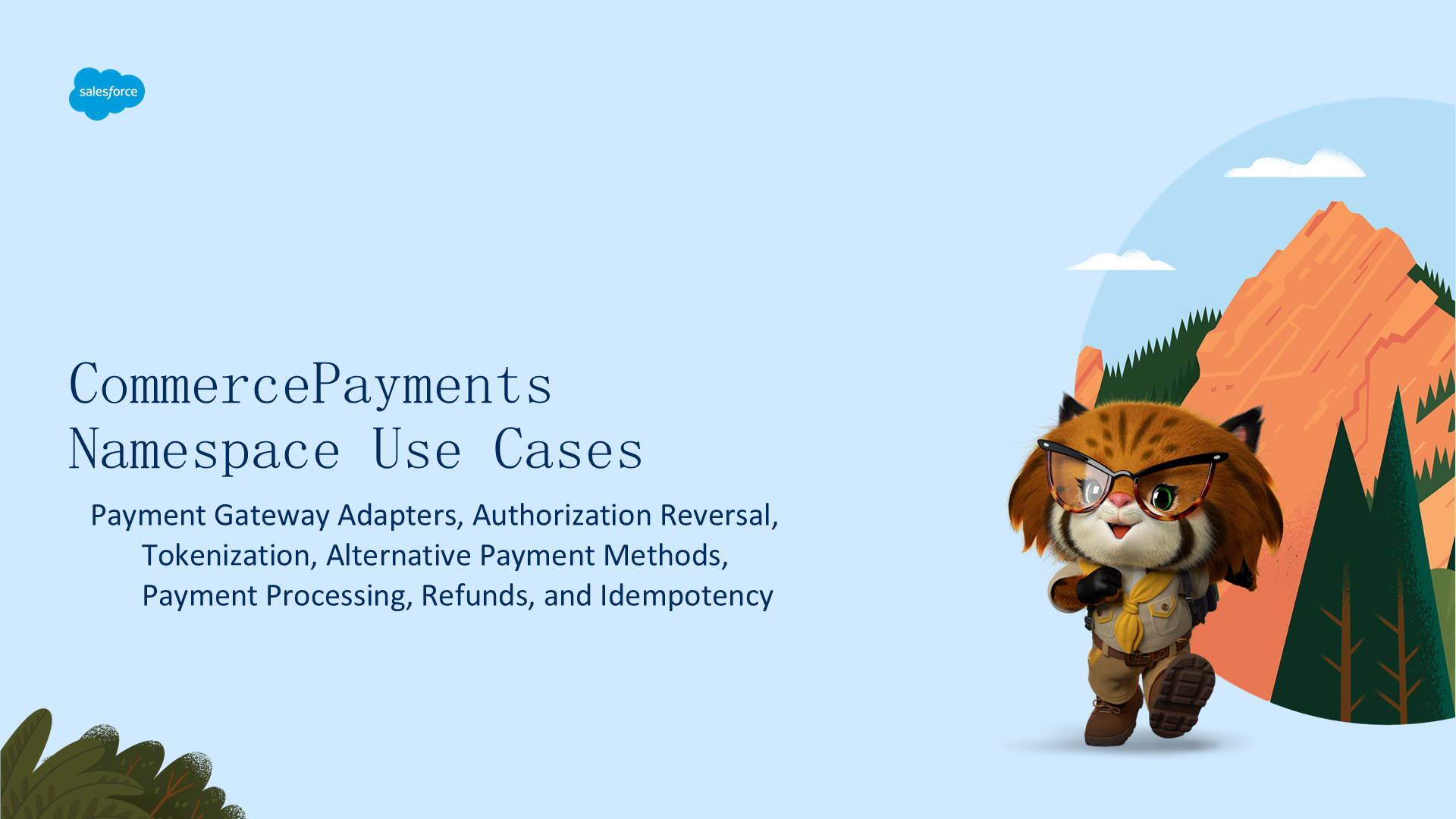 CommercePayments