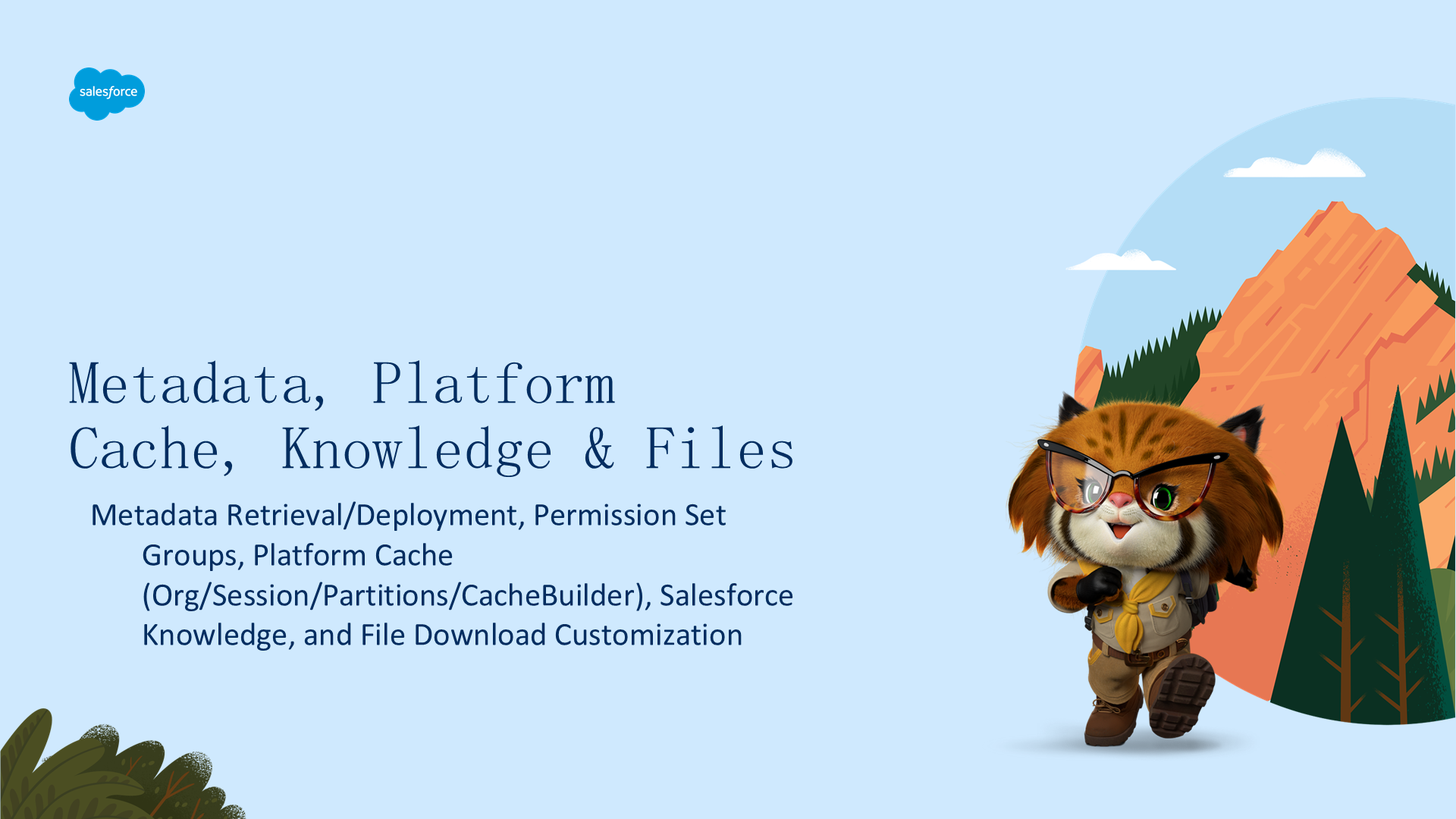 Metadata、Platform Cache、Knowledge 与 Files 完全指南