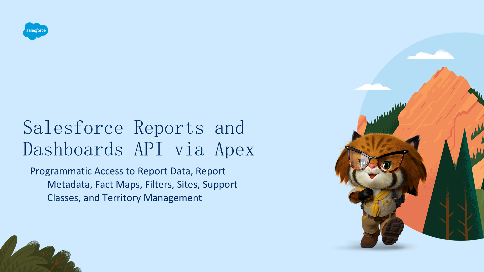Reports API