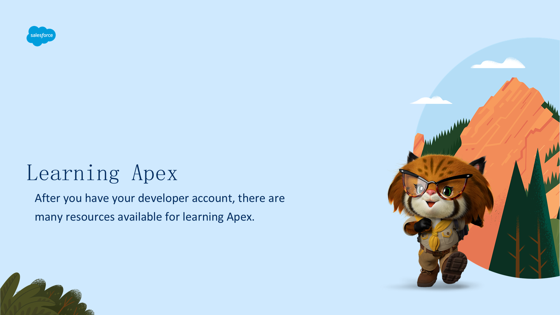 学习 Apex