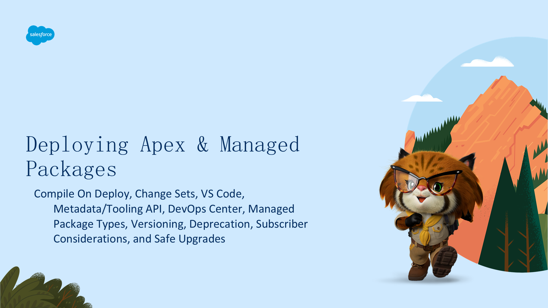 Apex 部署与托管包完全指南